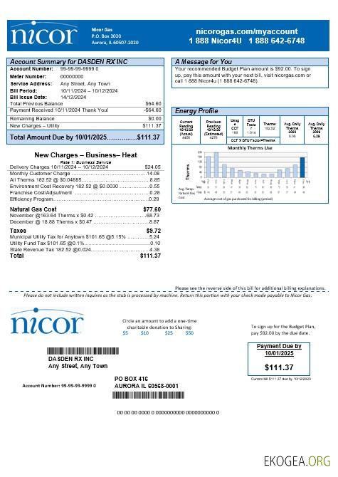 Modèle de facture de services publics de gaz Nicor ​​USA Illinois aux formats Word et PDF